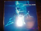 CATHERINE WHEEL CHROME 1ST PRESS LP VERY RARE 1993 FONTANA INDIE RIDE LUSH PULP