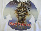 Iron Maiden The Evil That Men Do Rare Cut To Shape Picture Disc