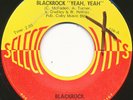BLACKROCK on Select-O-Hit --BLACKROCK YEAH YEAH-- funk psych 45 | ORIG | LISTEN