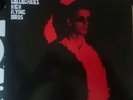 Noel gallagher's high flying birds,dying of the light vinyl