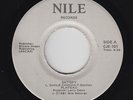 Funk Boogie 45 - Plateau - Satisfy - Nile - VG++ mp3 - unknown?