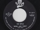 Northern/Deep Soul 45 - Opels - Who Are You? - Wow - VG++ mp3 - unknown?