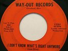VERY RARE OHIO DOO-WOP 45/ JOAN BIAS (LESTER JOHNSON) 