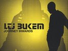 LP - LTJ Bukem Journey Inwards - 4er Vinyl