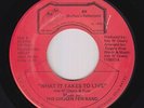 Modern Soul 45 - Chosen Few Band - What It Takes To Live - BR - VG++ mp3 - rare