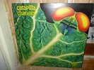 CATAPILLA orig. CHANGES  lp SUPER RARE 1ST U.K. PRESS VERTIGO HAWKWIND RE: PROG