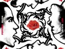 Red Hot Chili Peppers NEW SEALED VINYL LP Blood Sugar Sex Magik *FREE UK POST