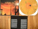 Alkaline Trio - Maybe I'll Catch Fire Vinyl LP Orange Marble OOP