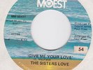 SISTERS LOVE Give Me Your Love b/w I could Never Make A Better Man STOCK  45  M-