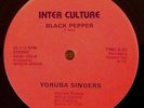 YORUBA SINGERS 
