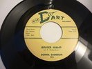 1959 ROCKABILLY ROCK ROLL FEMALE TEEN 45 DONNA DAMERON BIG BOPPER on DART