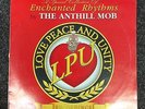 ANTHILL MOB Enchanted Rhythms 2x12