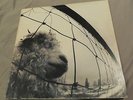 PEARL JAM - Vs. - Columbia Pressing OOP Rare VINYL LP not blue colombia 91474549