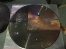 Pink Floyd - Animals 12'' Picture Disc