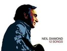 NEIL DIAMOND**12 SONGS**2-VINYL SET