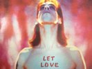 Nick Cave & the Bad Seeds - Let Love In Vinyl LP