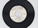 COXSONE/BEHOLD THE LAND  -  JOSEPH  (CULTURE) HILL  (72  REGGAE ROOTS 7