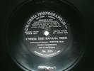 ANTIQUE BOB ROBERTS VOCAL 78 RPM COLUMBIA LABEL RECORD UNDER BANANA TREE ca 1905