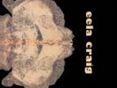 EELA CRAIG - Eela Craig - LP 1971 Krautrock Garden Of Delights