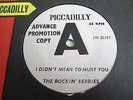 The Rockin' Berries - I Didn't Mean to Hurt You, Advance PROMO UK Piccadilly