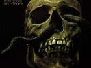 message - from books and dreams ( bacillus  2014 )   - vinyl  LP