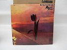 VTG Vinyl LCD 1970 THE PRETTY THINGS Parachute RS-515 Rock Rare Earth