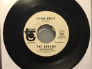 The Arrows (Feat. Davie Allan) Cycle-Delic/Blue Rides Again Promo 7