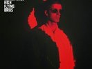 Noel Gallagher's High Flying Birds - Dying Of The Light 10