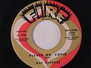 GAY POPPERS: Please Mr. Cupid / You Got Me Uptight 45 (xol) Vocal Groups
