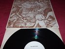 THE SLITS - TYPICAL GIRLS - RARE ORIGINAL LIVE USA IMPORT 9 TRACK LP EX/EX