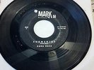 CARA ROSS – TORMENTED/ I DON’T WANT TO OWN THE MOUNTAINS 7” 45 single