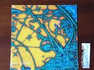 the Strokes is this it  LP