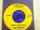 The Remains Diddy Wah Diddy Once Before garage psych 45