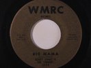 BOBBY SIMMS & SIMMERS: Big Mama / Please Please Believe 45 rare Oldies