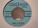 Roland Alphonso - Reggae in the grass UK COXSONE 1968 SKINHEAD BOSS