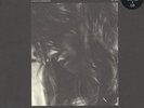 Charlotte Gainsbourg 5:55 2x LP vinyl record indie sealed reissue feist