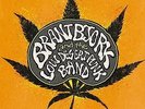Brant Bjork Black Power Flower LP Sealed Kyuss Queens of the stone age Vista