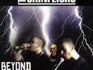 Skinflicks - Beyond Good And Evil LP Oi Punk Templars Cock Sparrer Battle Ruins
