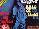 ALICE COOPER 45 HALO OF FLIES+PS HOLLAND RARE LONG VERSION