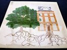 TREES, ‘the garden of Jane Delawney’, A FIRST ISSUE 1970 UK CBS RECORD LABEL LP.