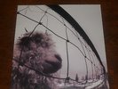 Pearl Jam VS ORIGINAL 1993 US 1st Press 1A -Epic Near Mint Minus LIMITED    Brad