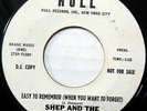 SHEP & THE LIMELITES 45 Easy To Remember PROMO Doo Wop HULL 1964 w888