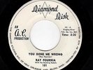 SWAMP ROCK/DOOWOP-RAY FOURNIA W/ THE ROCKING REBELS-YOU DONE ME WRONG/SETTLE DOW