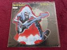 IRON MAIDEN * NOT MISPRESSED * HOOKS IN  YOU FEAR OF THE DARK PICTURE DISC