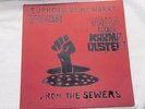 YAMA & THE KARMA DUSTERS Up From The Sewers LP Private Press Euphoria Chicago