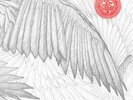 The Bug - Angels & Devils