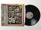 MAYFLY s/t Orig 1973 Vinyl LP RARE Dutch Prog