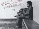 James Brown - In The Jungle Groove (2-LP) - Vinyl Soul