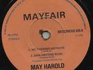 May Harold DIY SRT Custom press Superb voice Pop Country crossover