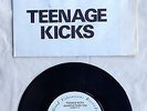 The Undertones Teenage Kicks EP Good Vibrations GOT 4 Pic Sleeve A1/B1 1978
